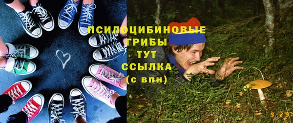 spice Переславль-Залесский