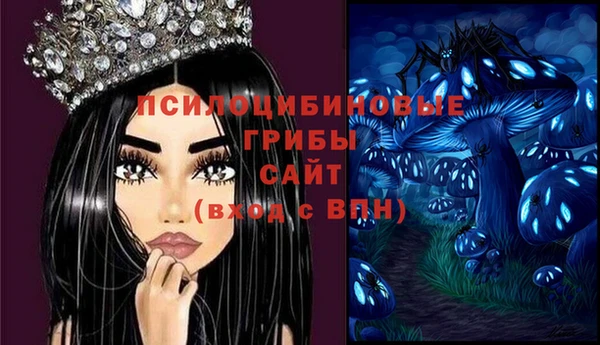 spice Переславль-Залесский