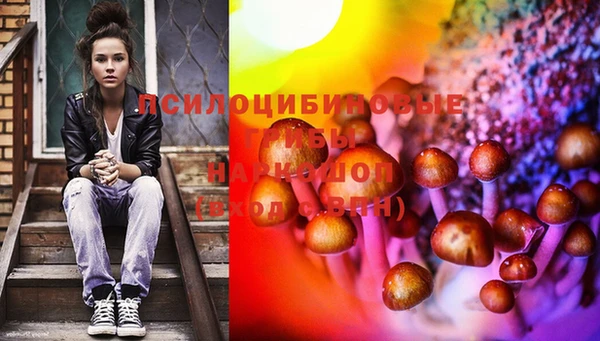 сатива Осинники