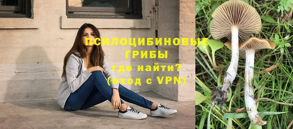 гидропоника Осташков