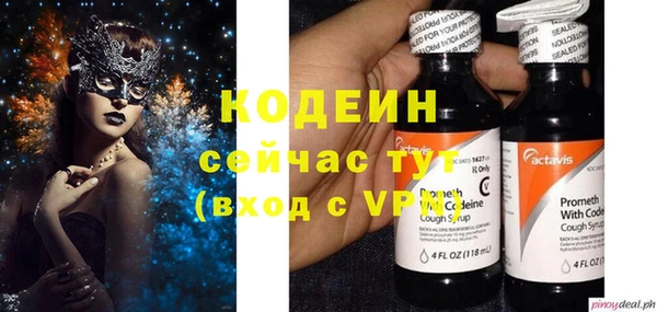 сатива Осинники